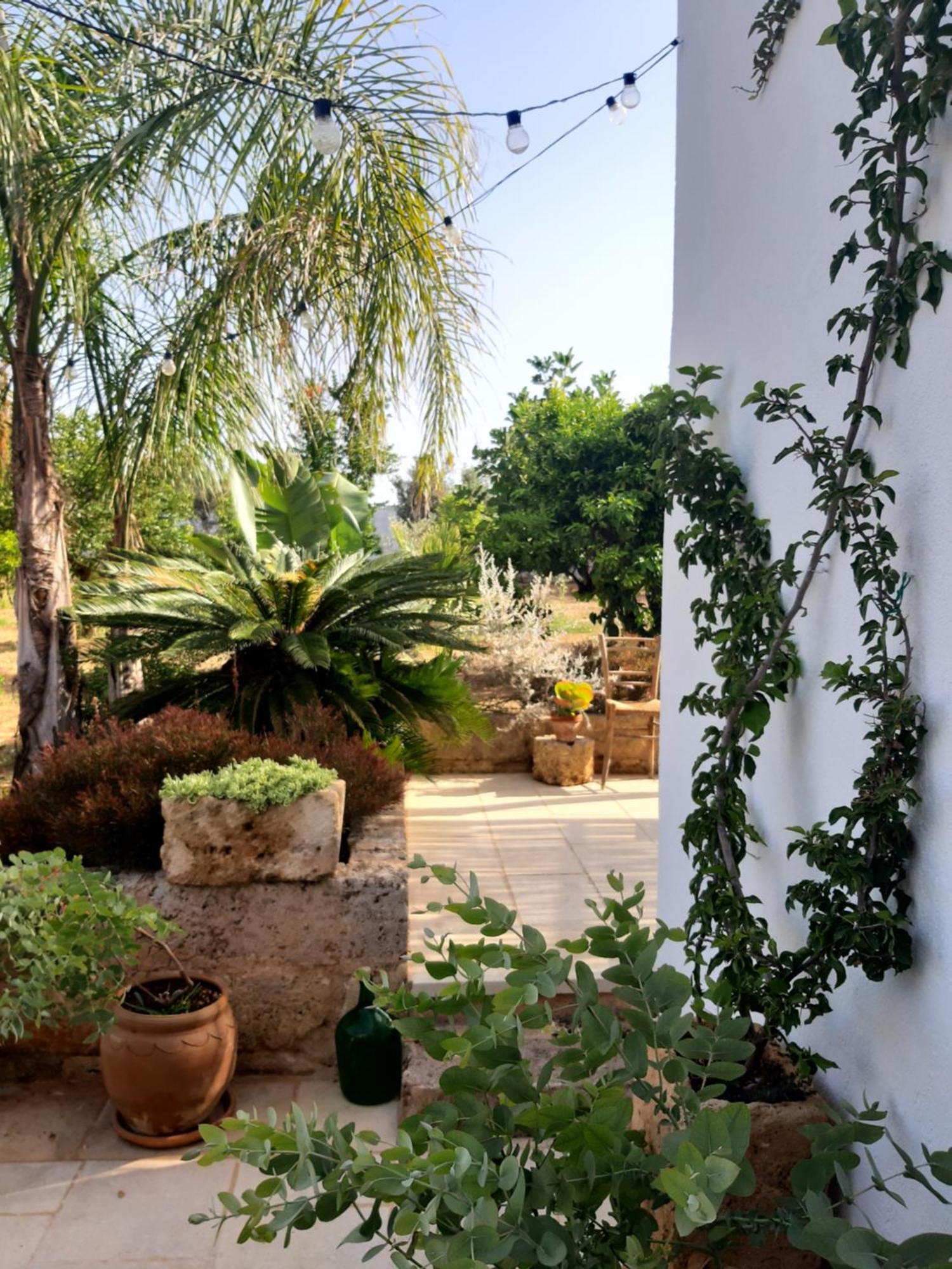טורה סן ג'ובאני אוג'נטו Villa Troisio מראה חיצוני תמונה